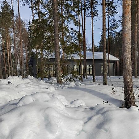 Norvalisma Villa Rovaniemi Buitenkant foto