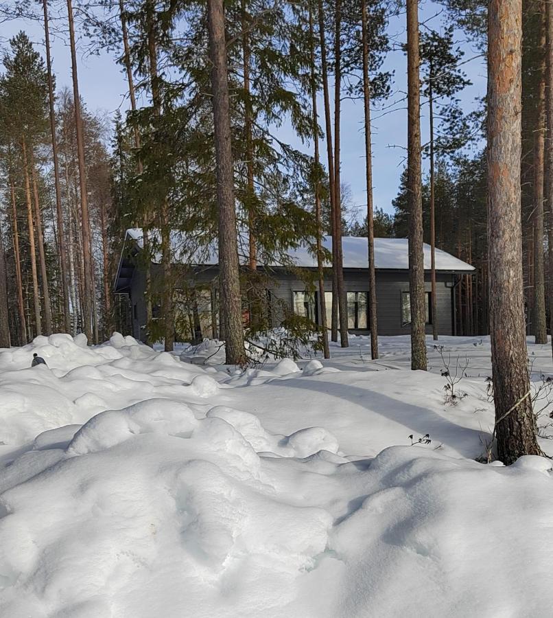 Norvalisma Villa Rovaniemi Buitenkant foto