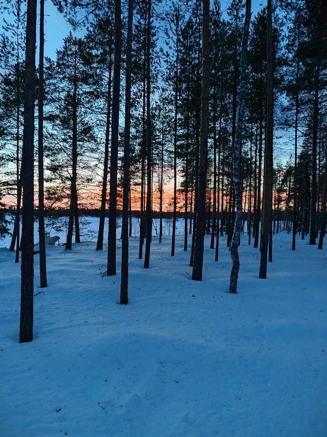 Norvalisma Villa Rovaniemi Buitenkant foto